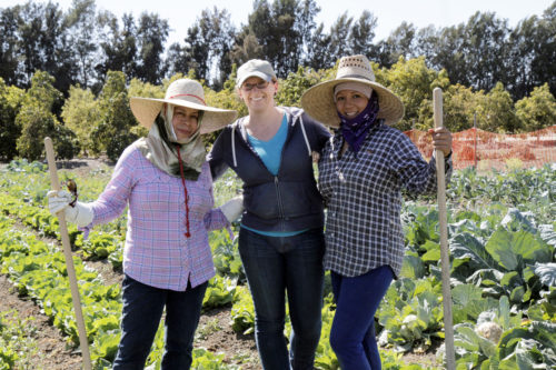 Farmworker Ophelia Hernandez, Sarah Nolan, The Abundant Table’s director of programs and community partnerships, and Reyna Ortega, production manager, pose for a photograph in the field. Photo: Lynette Wilson/ENS 