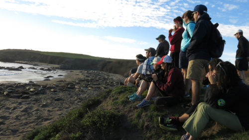 Students from Campbell Hall and St. Margaret's Episcopal Schools observe elephant seals during mating season on the coast of Big Sur, California. From birth to death and everything in between, the full cycle of life was on display. Photo: Andrew Barnett/Diocese of Los Angeles 